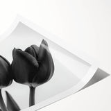 Floral and botanical rolled print featuring vibrant colors and intricate designs, elegantly packaged in a protective tube for easy display in home decor.