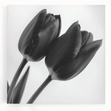 Floral and botanical stretched canvas artwork showcasing vibrant colors and intricate details, designed to enhance home decor with a fresh, natural aesthetic.