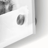 Bathroom Wall Decor - Cute Fox Artwork