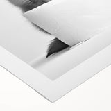 Bathroom Wall Decor - Cute Fox Artwork