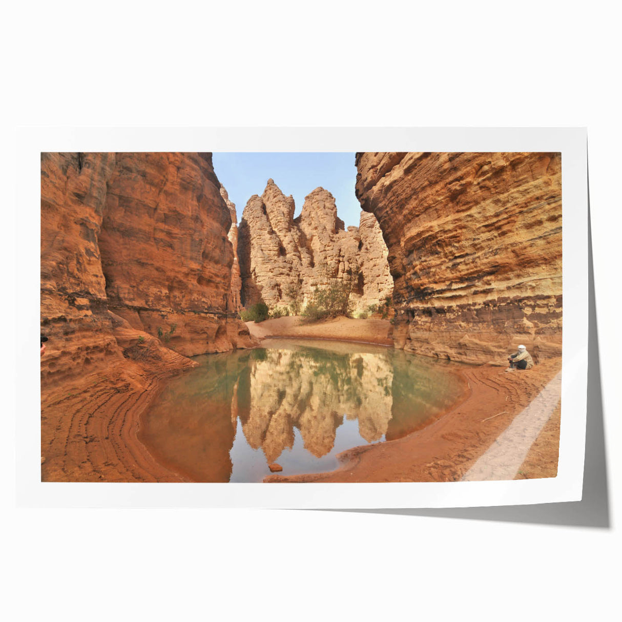 Extra large rolled print depicting vibrant African scenery with lush floral elements, ideal for art wall dining room.