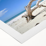 Art deco poster of African savannah scene in muted earth tones on rolled canvas, suitable for dining room wall art.