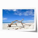 Kenyan landscape featuring acacia trees under a sunset sky in muted earth tones, ideal for dining room wall art.