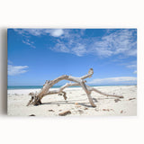 Black and white photograph of an African savannah on a large stretched canvas, ideal for kitchen wall art.