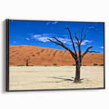 Black and white framed canvas depicting a Namibian landscape, ideal for bedroom wall art.
