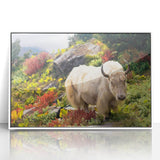 Art deco poster of Bhutan scenery in muted gray and blue tones on white framed acrylic.