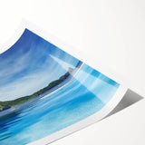 Extra large wall art featuring line art flowers in muted earth tones on a rolled canvas.