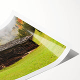 Extra large wall art featuring line art flowers in black on a white background, printed on rolled canvas.