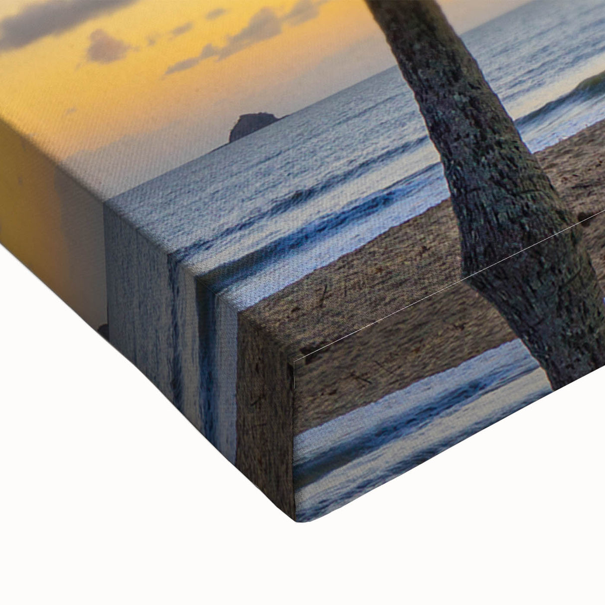 Large art of Queensland landscape in black and white on stretched canvas, suitable for bedroom wall decor.