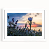 Abstract art print of Manitoba scenery in muted earth tones on a framed white mat, ideal for dining room decor.