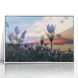 Acrylic print of a serene Manitoba landscape in soft pastel hues, framed in white, ideal for modern art wall decor.