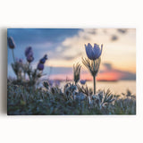 Black and white photograph of a serene Manitoba landscape on large stretched canvas, suitable for kitchen wall art.