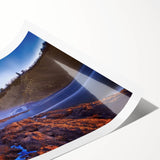 Extra large rolled print of line art flowers in black on white, ideal for large living room wall art.