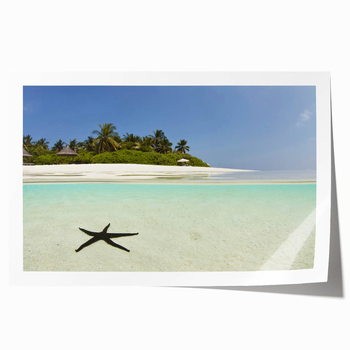 Extra large rolled print of a Caribbean scenery with lush greenery and vibrant blue ocean, ideal for art wall dining room.