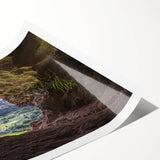 Extra large wall art featuring line art flowers in vibrant colors on a rolled print, ideal for large living room decor.