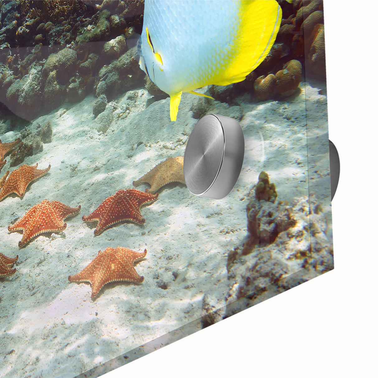 Large abstract wall art featuring Caribbean scenery in mid-century modernist style on acrylic glass.