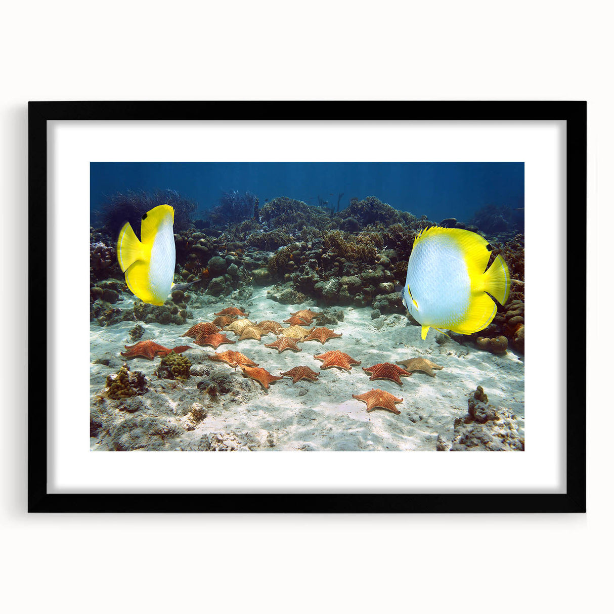 Extra large abstract art print of a Caribbean scene in vibrant colors on a textured canvas, framed in black.