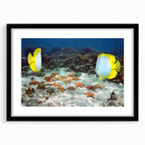 Extra large abstract art print of a Caribbean scene in vibrant colors on a textured canvas, framed in black.