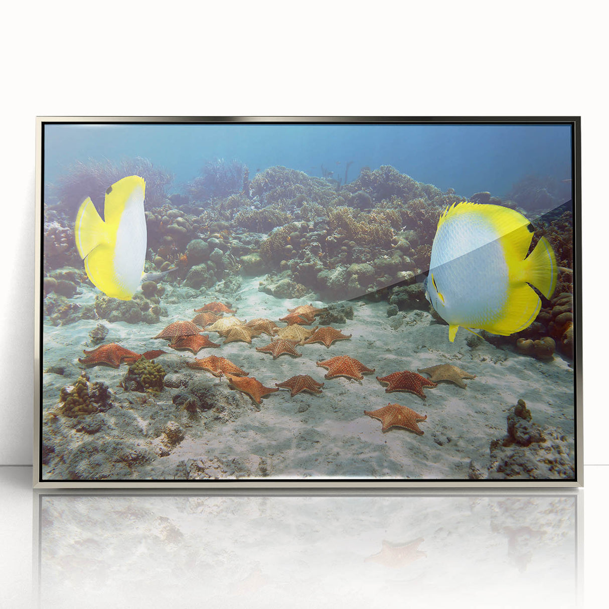 Large art print of a Caribbean scene on framed acrylic.