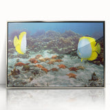 Large art print of a Caribbean scene on framed acrylic.