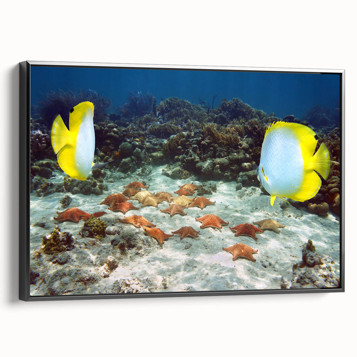 Black and white framed canvas depicting a vintage Caribbean landscape, suitable for bedroom wall art.