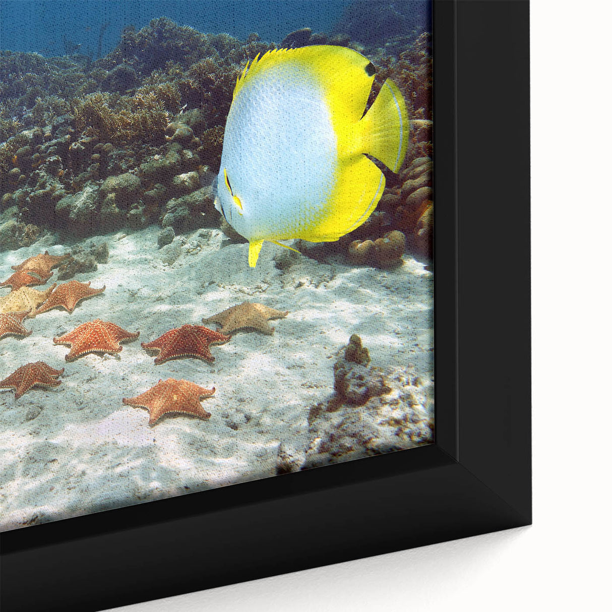 Framed canvas featuring a textured black wall art scene with vibrant Caribbean colors.