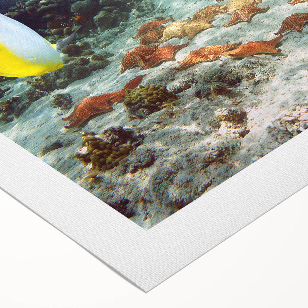 Art deco poster featuring a serene Caribbean beach scene on rolled canvas, suitable for dining room or bathroom wall art.