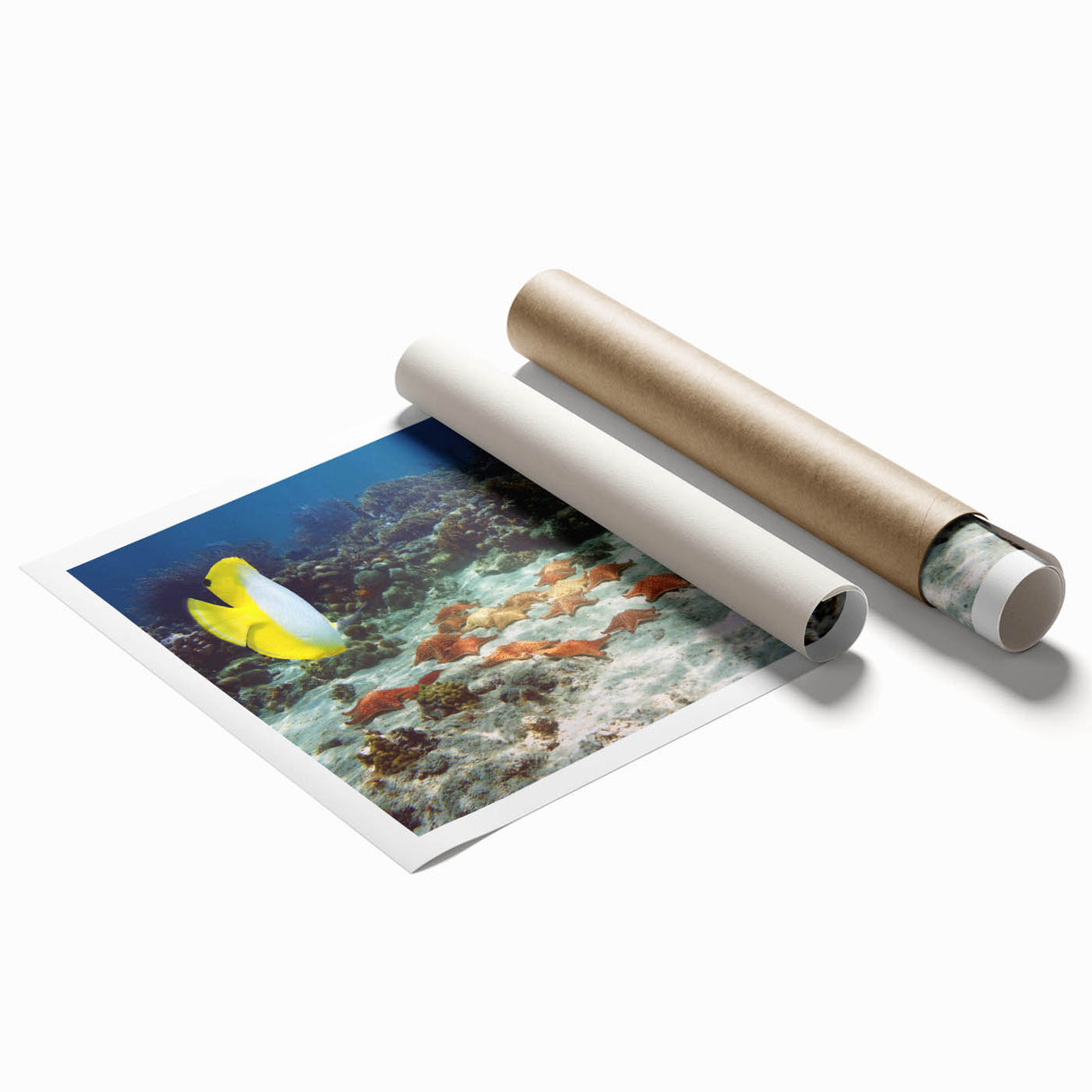 Extra large rolled print of a Caribbean beach scene with vibrant turquoise waters and lush green flora.