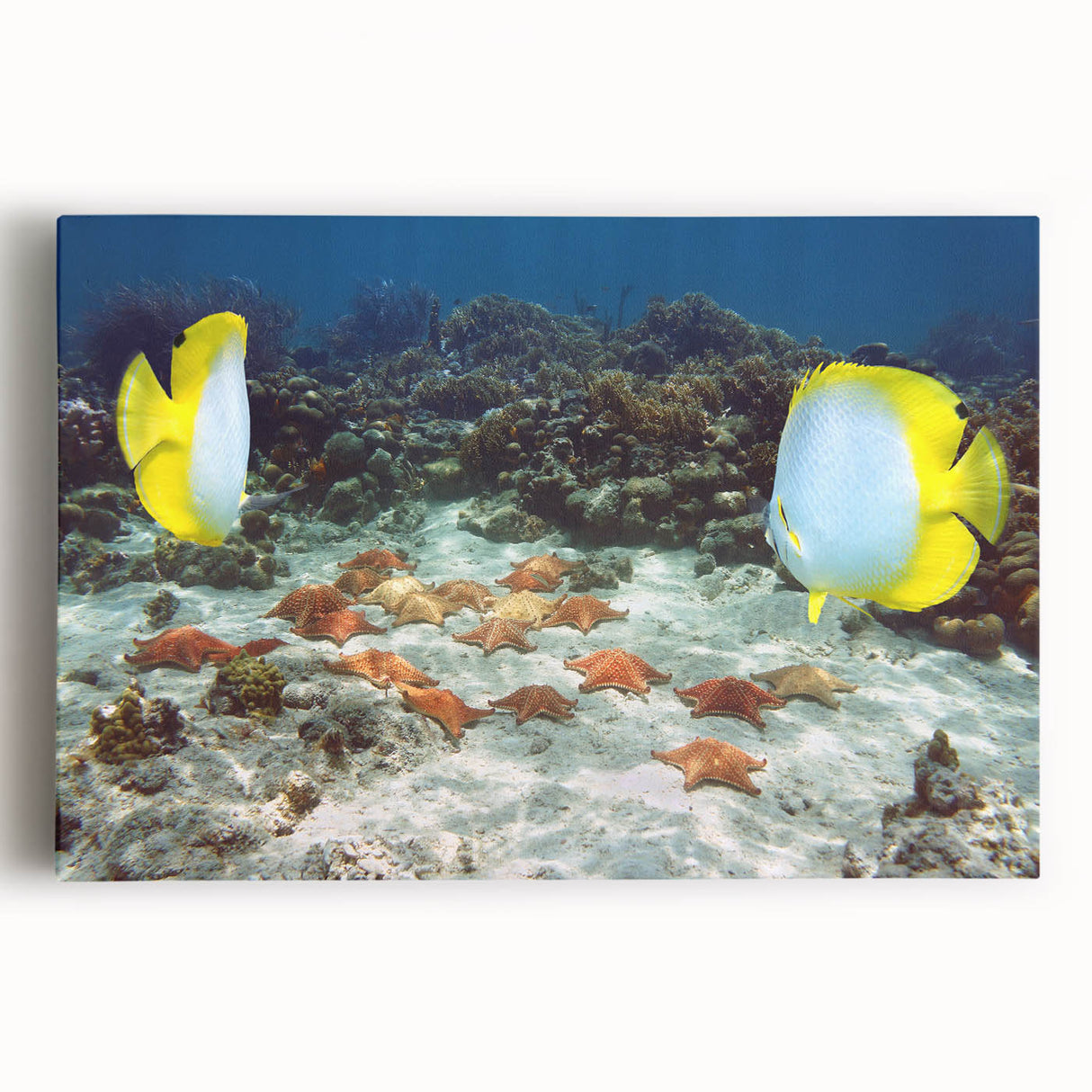 Black and white stretched canvas depicting Caribbean scenery, suitable for kitchen art.