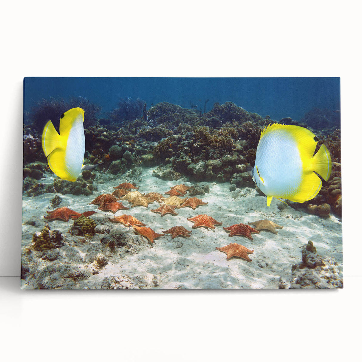 Black and white photo of Caribbean beach on stretched canvas, ideal for kitchen wall art.