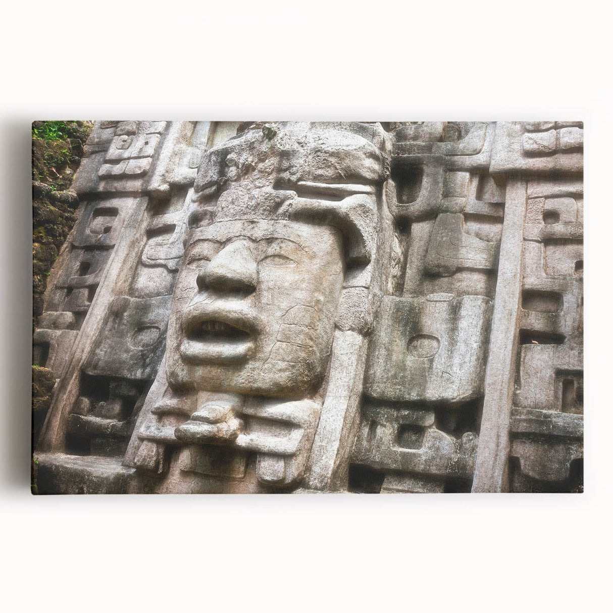 Black and white stretched canvas of Belize scenery, ideal for kitchen wall art.