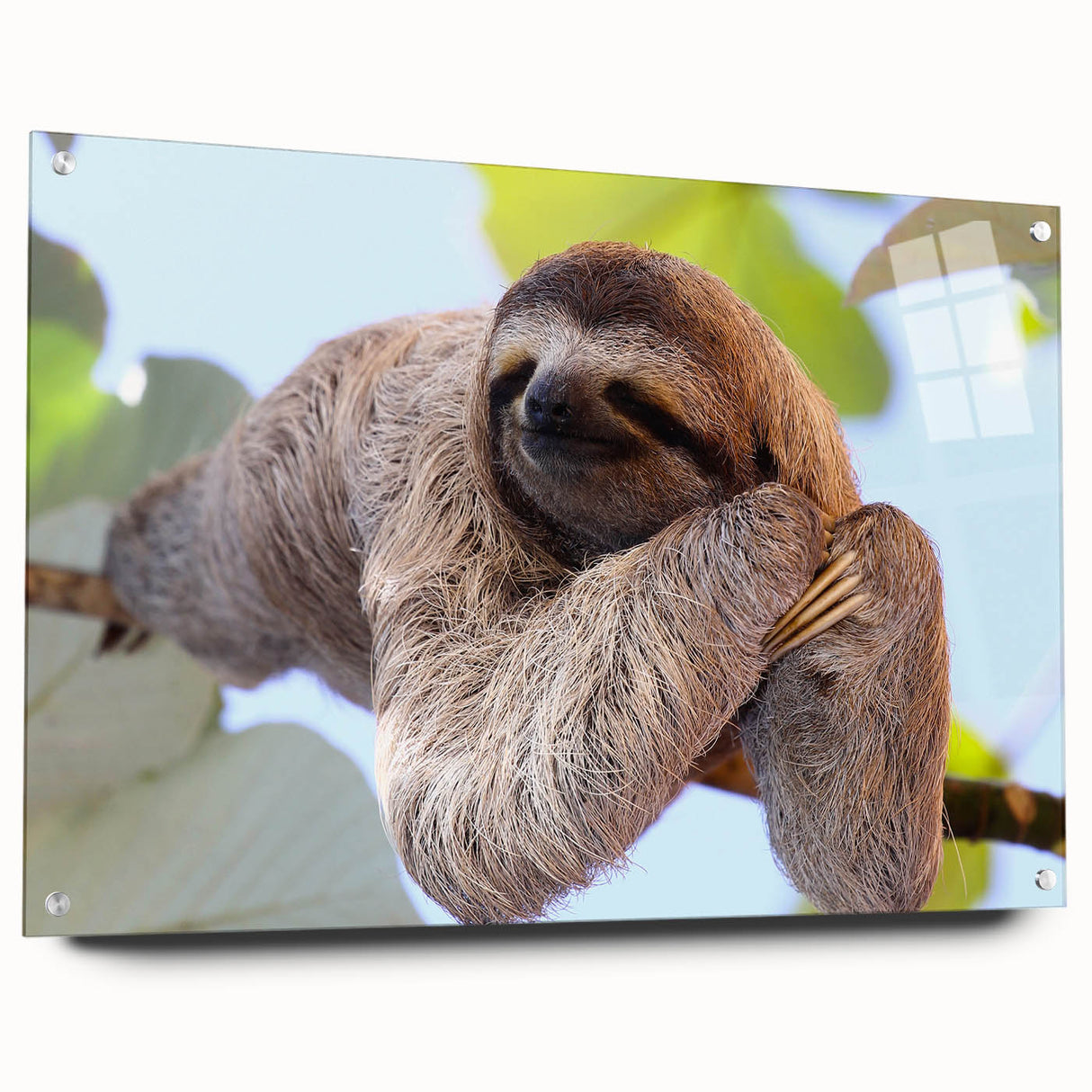 Acrylic glass print of a serene Costa Rican landscape in muted green and blue tones, ideal for bedroom or dining room decor.