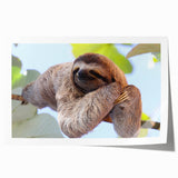 Extra large rolled print of a vibrant Costa Rican landscape with lush greenery and floral elements.