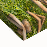 Black and white landscape painting of Albanian scenery on stretched canvas, ideal for bedroom wall art.