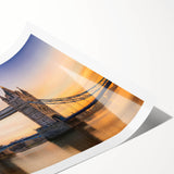 Extra large rolled print featuring a line art depiction of flowers with muted earth tones.