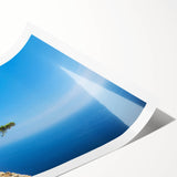 Extra large wall art featuring line art flowers in muted earth tones on a rolled print, suitable for large living room decor.