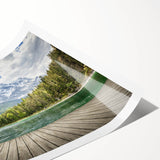 Extra large wall art featuring line art flowers in soft gray tones on a rolled canvas, ideal for large living room decor.