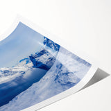 Extra large rolled print featuring line art flowers in muted green and white, ideal for large living room wall art.