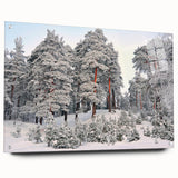 Large abstract wall art of a European scenery in Latvia, rendered on acrylic glass, suited for bedroom or dining room decor.