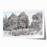 Rolled print of a floral art depicting vibrant European scenery, ideal for art wall dining room decor.