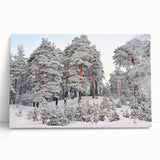 Black and white large art print of a European street scene on stretched canvas, ideal for kitchen wall art.