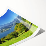 Extra large wall art featuring line art flowers in muted tones on a rolled print, suitable for large living room decor.