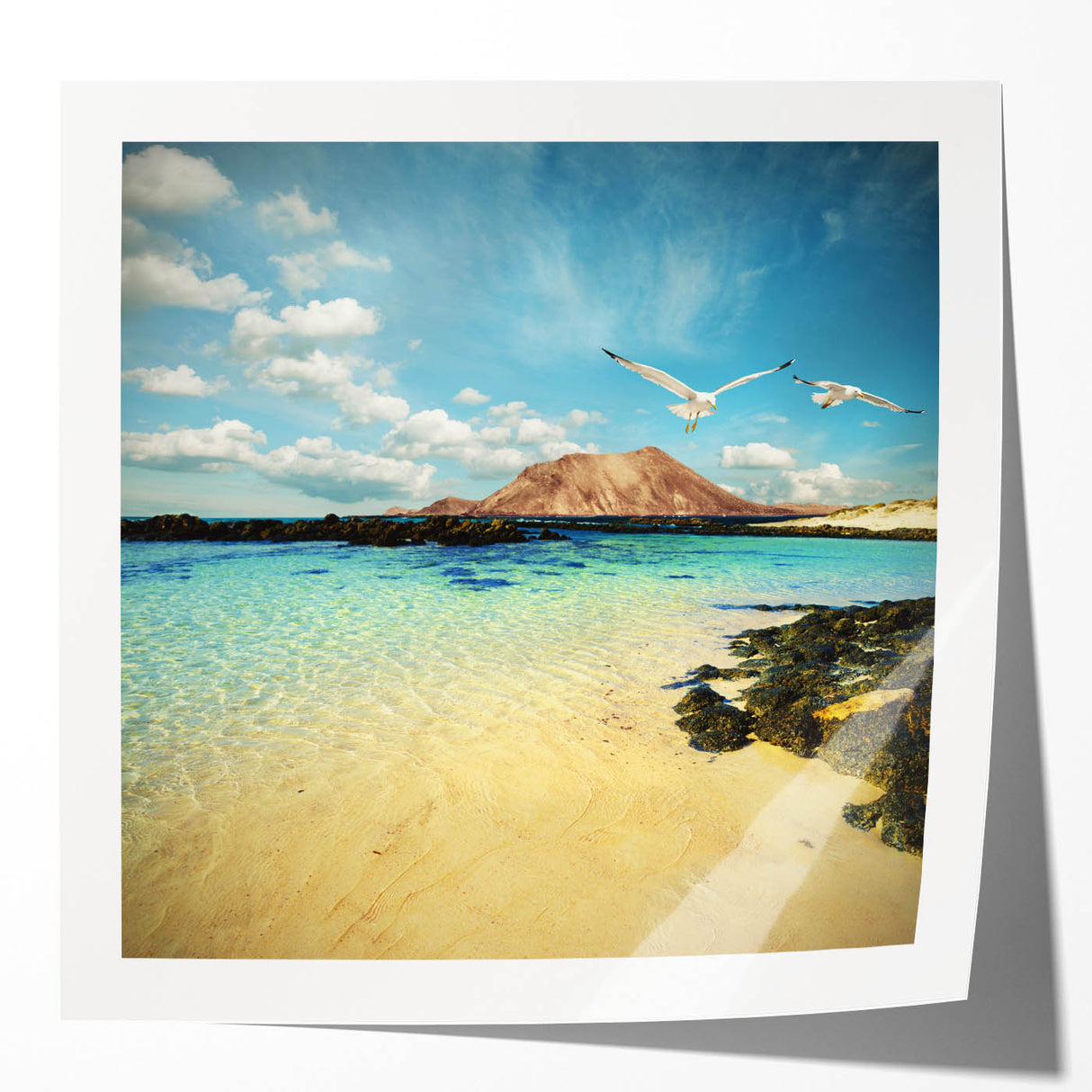 Extra large rolled print of a vibrant floral scene in Canary Islands, Spain, ideal for dining room wall art.