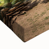 Large art of Oaxaca landscape in black and white tones on stretched canvas, suitable for bedroom wall decor.