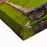 Black and white landscape art painting of Yucatan scenery on large stretched canvas, suited for bedroom wall decor.