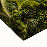 Large art depicting a black and white landscape of Fiji on stretched canvas, suitable for bedroom wall decor.