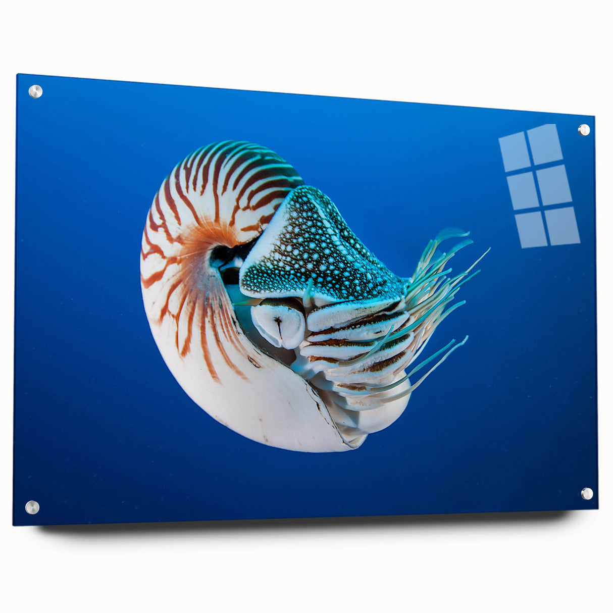 Large abstract wall art depicting an oceanic scene in blue and green tones on acrylic glass.