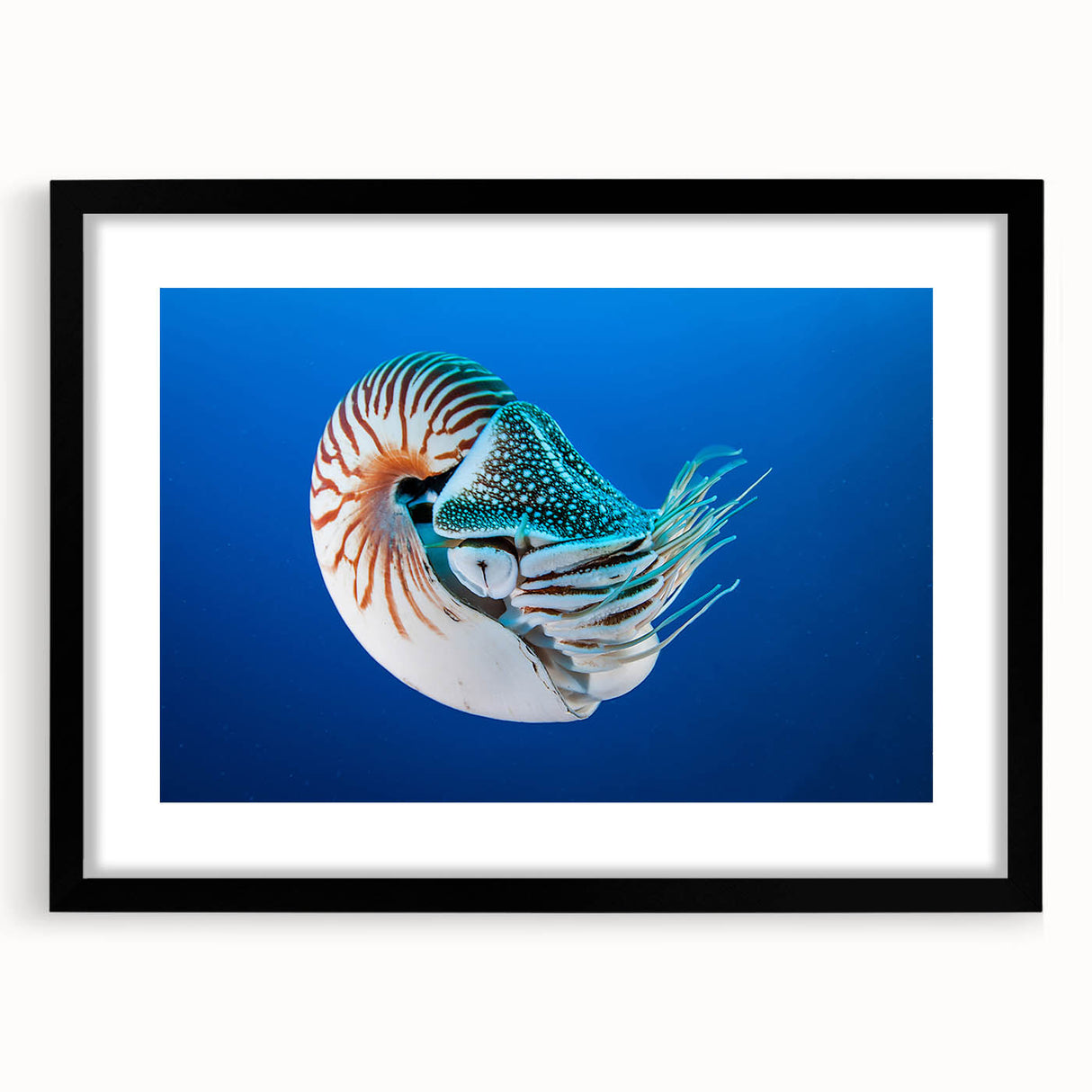 Abstract art print featuring vibrant, textured swirls of blue and orange on a large canvas, ideal for living room decor.
