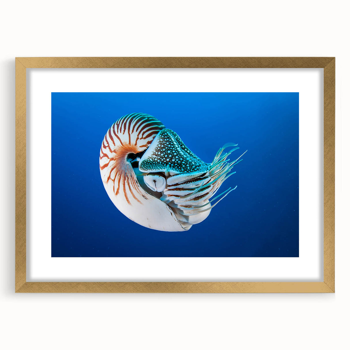 Extra large abstract art print of oceanic scenery in muted blue tones, framed in gold, suitable for living room decor.