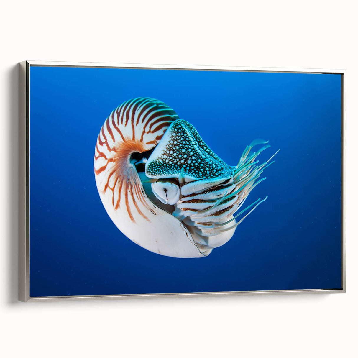 Framed canvas landscape art painting depicting Oceania scenery in vibrant colors, ideal for living room decor.